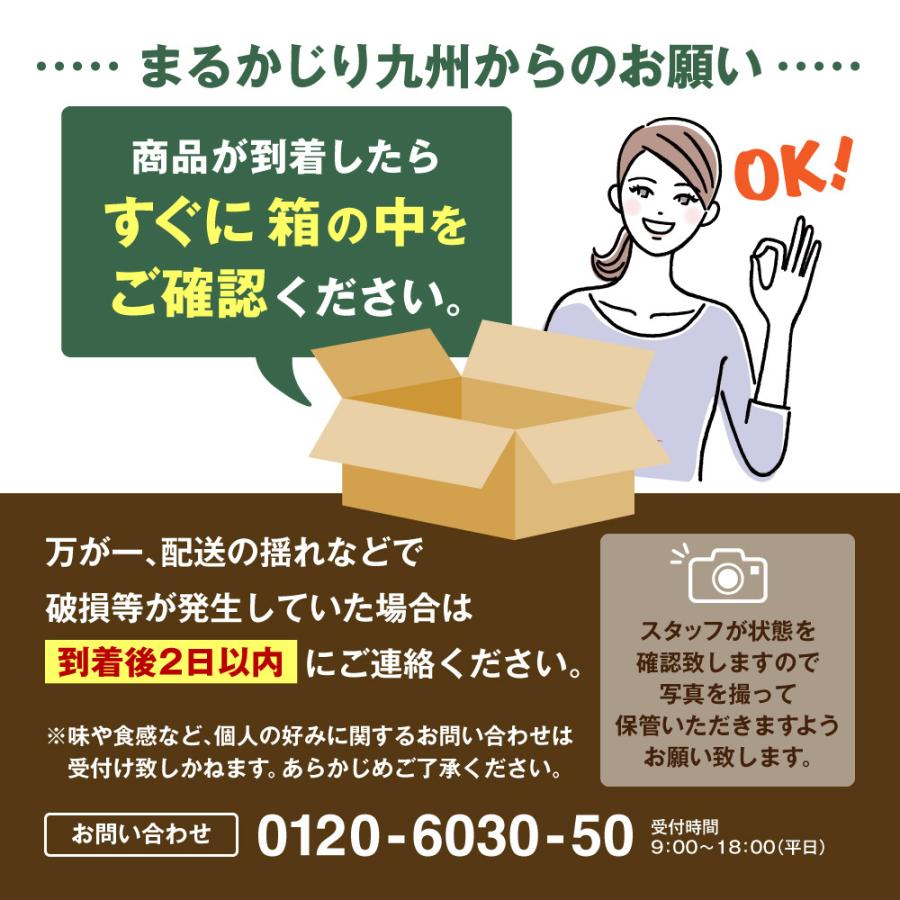 【送料無料】小玉すいか ひとりじめ 熊本 1玉 約2kg すいか スイカ 熊本県産 九州 産地直送 ギフト プレゼント 贈答 お中元 お供え まるかじり九州｜marukajiri-kyushu｜11