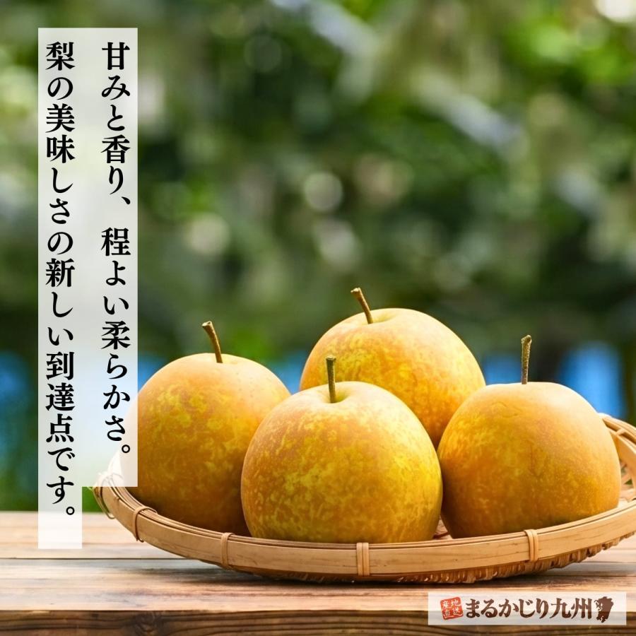 梨 甘太 佐賀 伊万里の蜜梨 1箱 約2kg(4玉) 産地直送 青梨 ナシ 甘梨