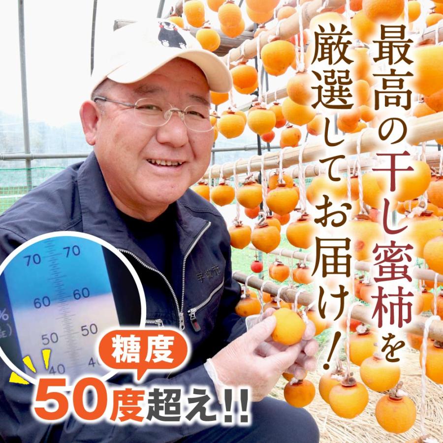 まるかじり九州 干し柿 ドライフルーツ 熊本 送料無料 1パック 200g (2