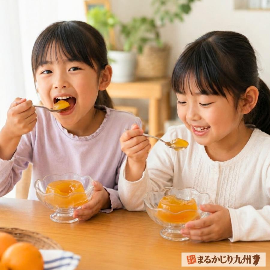 まるかじり九州 びわ ゼリー 長崎 1箱 6個入り ゼリー 枇杷 フルーツ