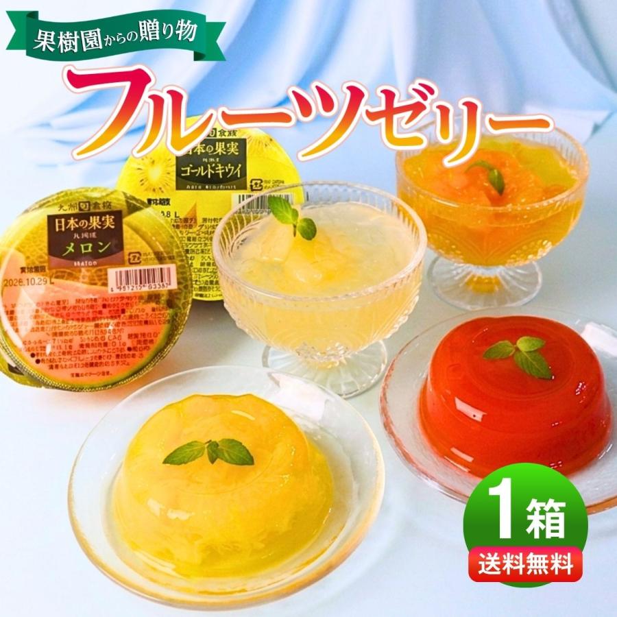 まるかじり九州 ゼリー ギフト フルーツゼリー 詰め合わせ 6種 1箱