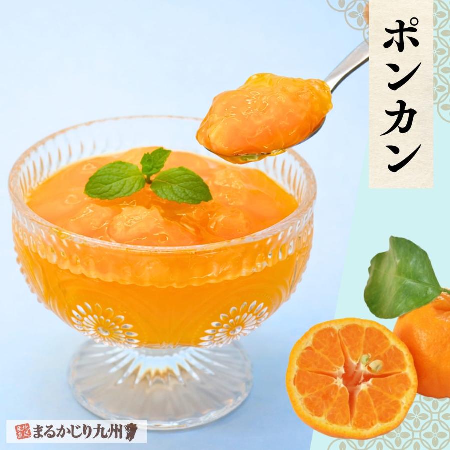 まるかじり九州 ゼリー ギフト フルーツゼリー 詰め合わせ 6種 1箱