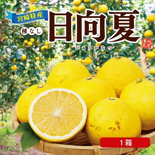 まるかじり九州 日向夏 宮崎 送料無料 1箱 約1kg(6〜10玉) ニュー