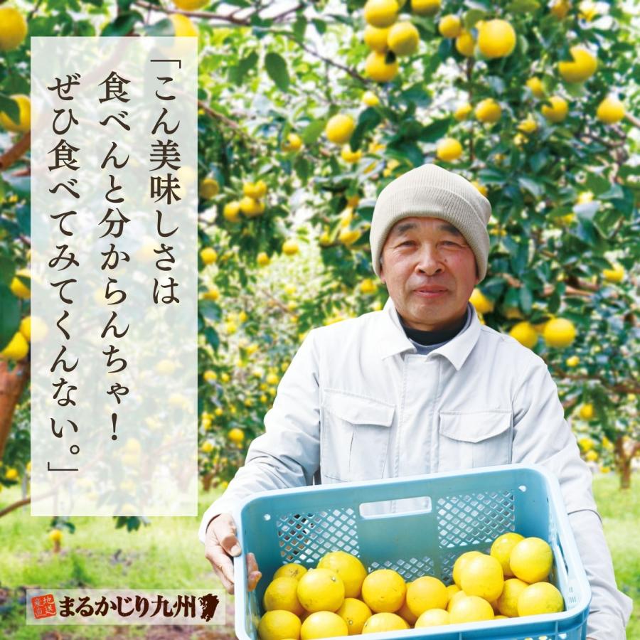 【中古】 フルーツまるかじり まるかじり九州 はるか みかん 佐賀 送料無料 完熟はるか 1箱 約2kg(9