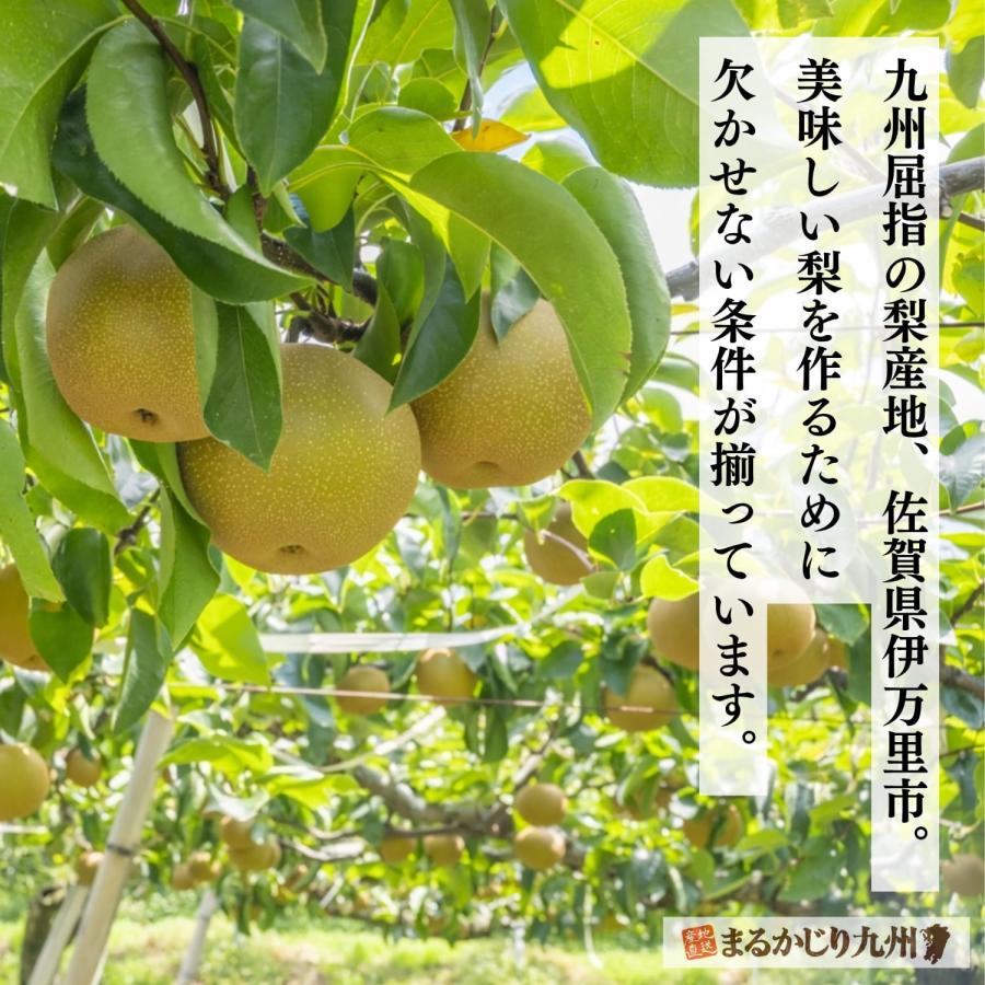 梨 幸水 佐賀 伊万里梨 1箱 約2.5kg(5~8玉) 産地直送 農家直送 赤梨