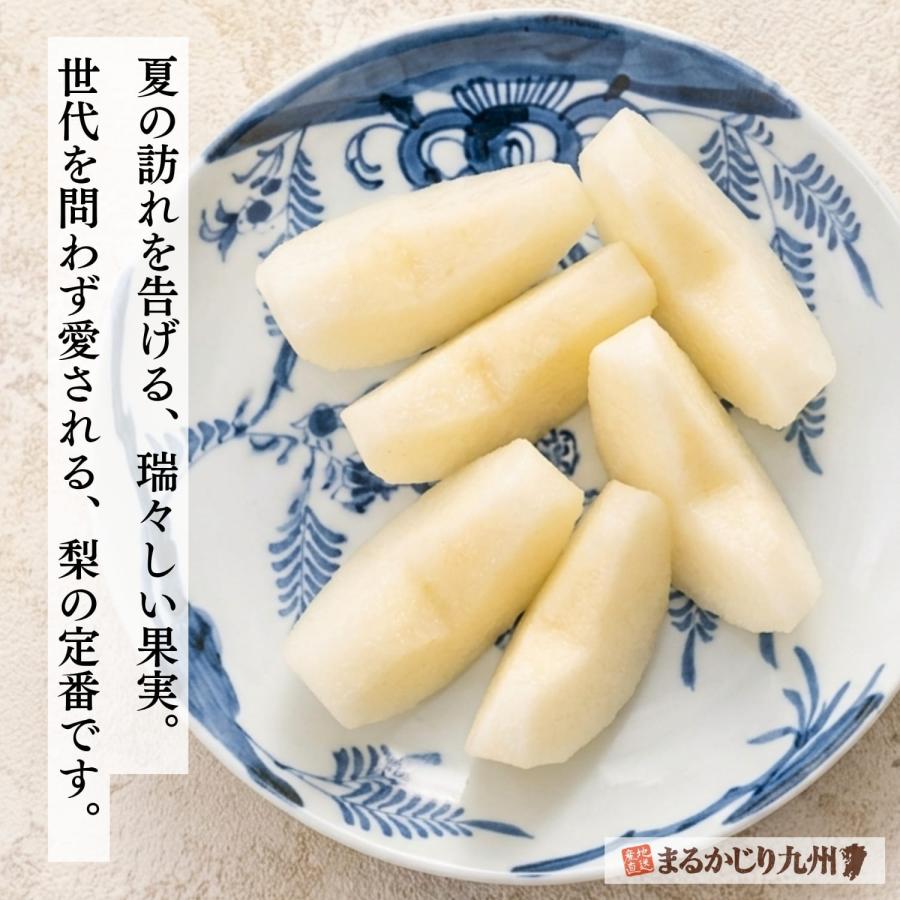 梨 幸水 佐賀 伊万里梨 1箱 約2.5kg(5~8玉) 産地直送 農家直送 赤梨