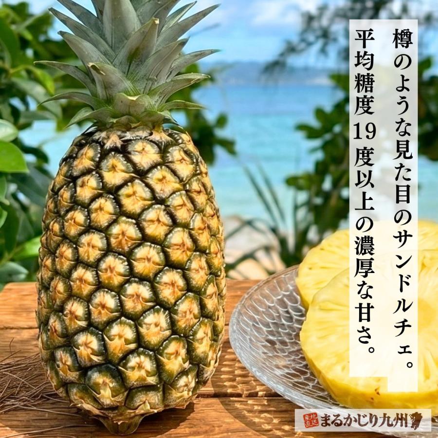 パイン 沖縄 1玉 約800g〜1kg パイナップル サンドルチェ 甘熟 国産 お