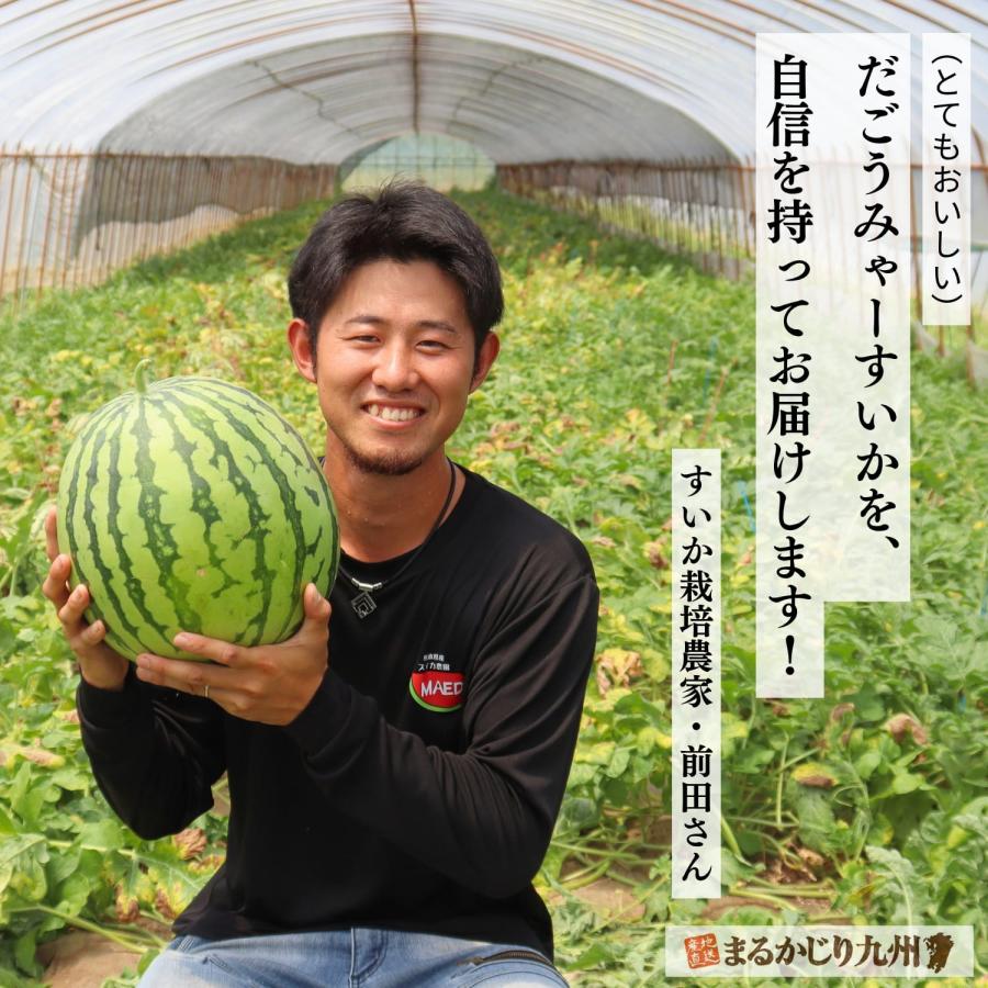 秋スイカ 羅皇 熊本 大玉 1玉 (7〜8kg) 2Lサイズ スイカ すいか 西瓜