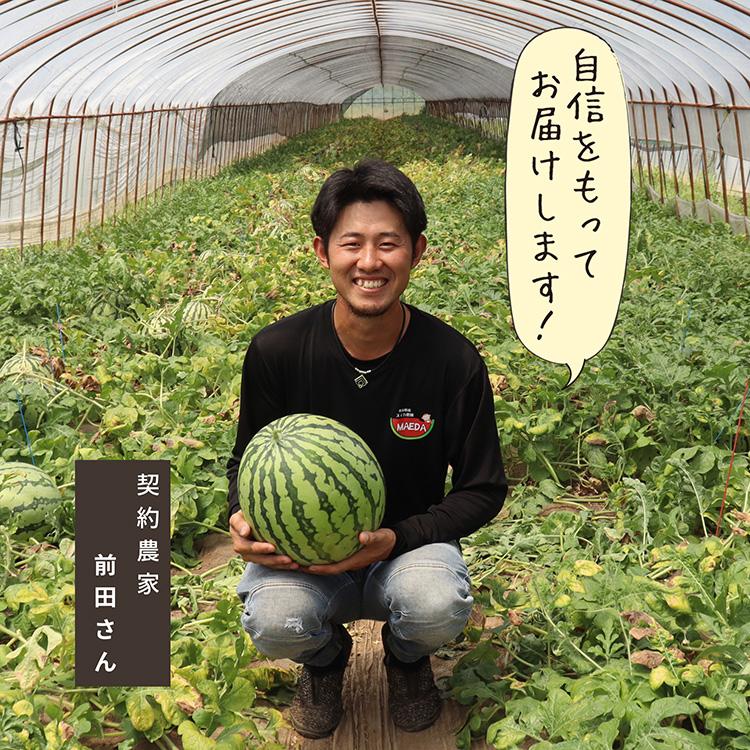 秋スイカ 羅皇 熊本 大玉 送料無料 1玉 (7〜8kg) 2Lサイズ スイカ