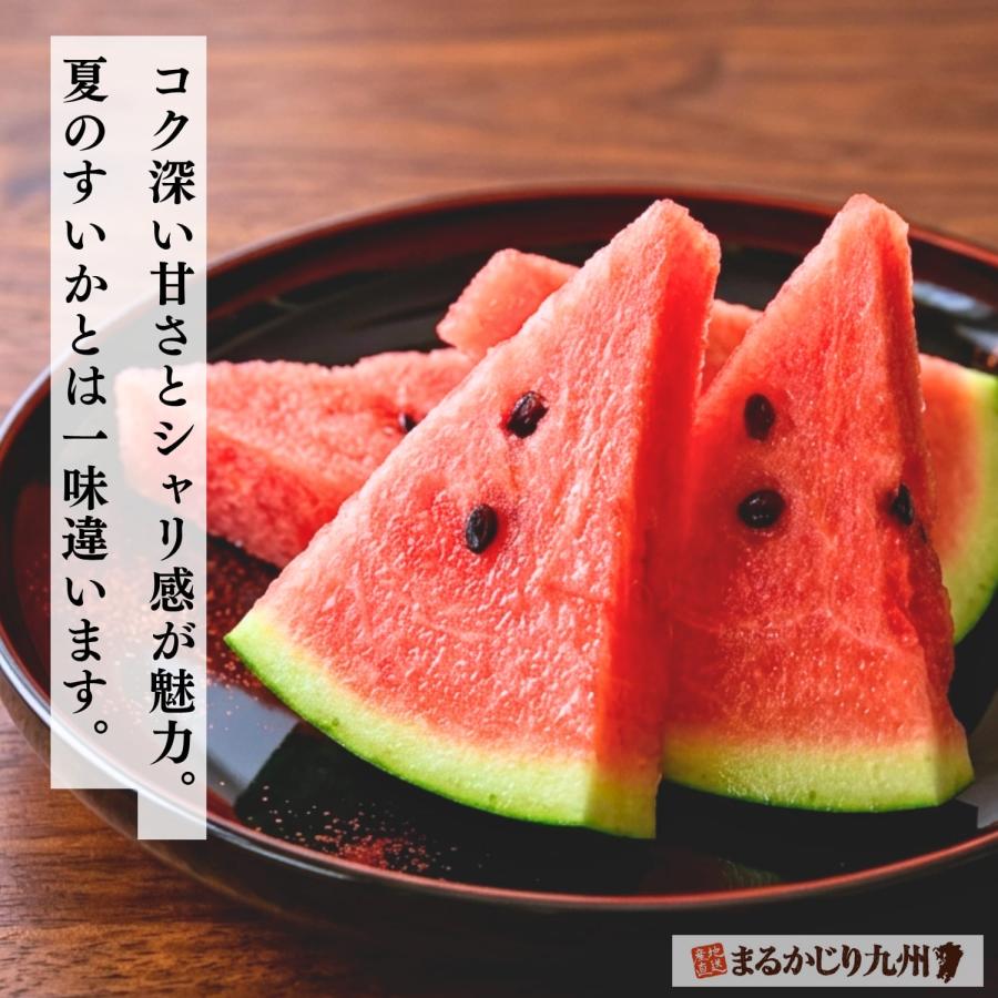 秋スイカ 羅皇 熊本 大玉 1玉 (7〜8kg) 2Lサイズ スイカ すいか 西瓜