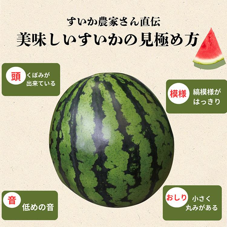 秋スイカ 羅皇 熊本 大玉 送料無料 1玉 (7〜8kg) 2Lサイズ スイカ