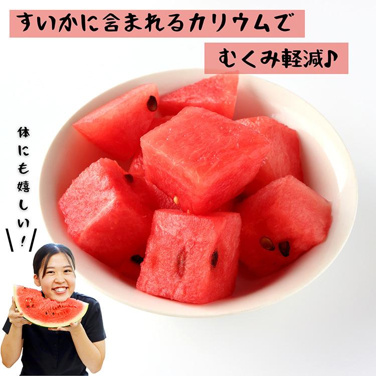 秋スイカ 羅皇 熊本 大玉 送料無料 1玉 (7〜8kg) 2Lサイズ スイカ