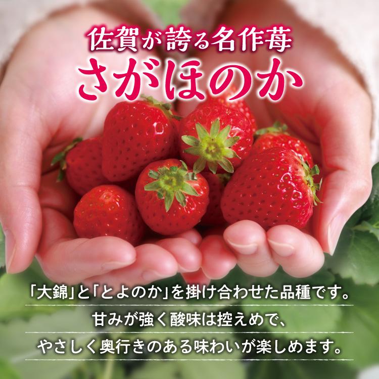 まるかじり九州 いちご さがほのか 佐賀 送料無料 1箱 約400g 15粒