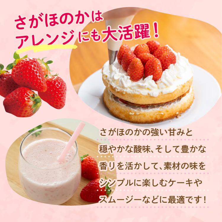 まるかじり九州 いちご さがほのか 佐賀 送料無料 1箱 約400g 15粒