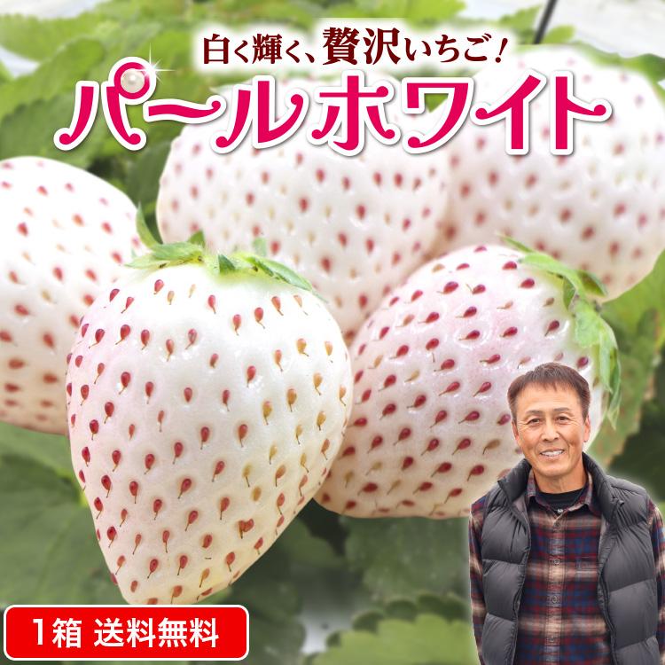 苺中②確認用（パールがホワイト） まるかじり九州 いちご パールホワイト 白いちご 佐賀 送料無料 1箱 約