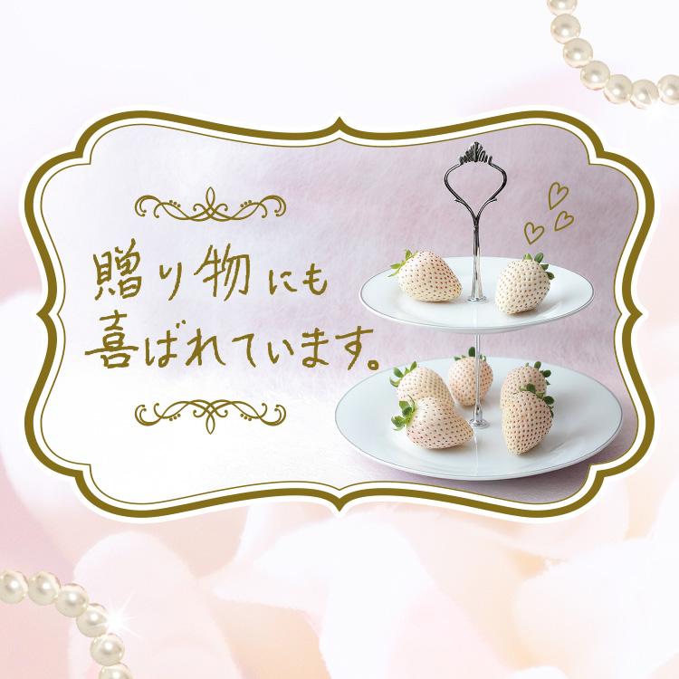 まるかじり九州 いちご パールホワイト 白いちご 佐賀 送料無料 1箱 約