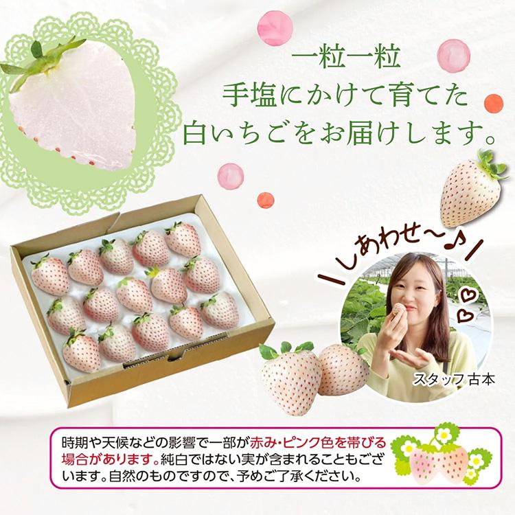 まるかじり九州 いちご パールホワイト 白いちご 佐賀 送料無料 1箱 約