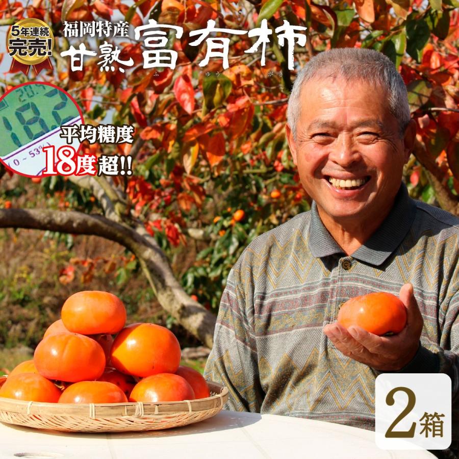 本日限定 たねなし柿 赤秀品 2Lサイズ 化粧箱 11〜12個入 ※2022年10月上旬〜下旬頃に順次発送予定 ※着日指定不可 fucoa.cl 本日限定 たねなし柿 赤秀品 2Lサイズ 化粧箱 11〜12個入 ※2022年10月上旬〜下旬頃に順次発送予定 ※着日指定不可 fucoa.cl