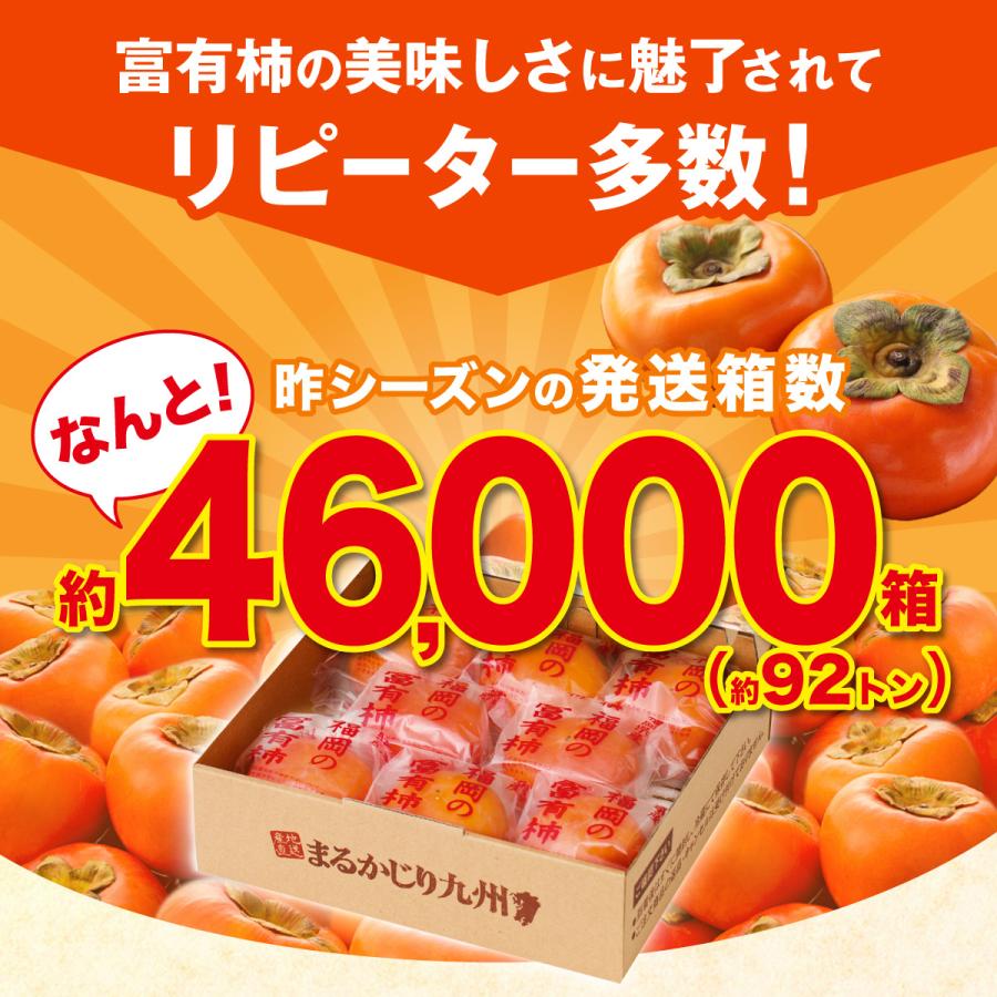 柿 富有柿 甘柿 福岡 送料無料 2箱セット 1箱あたり約2kg(7〜10玉