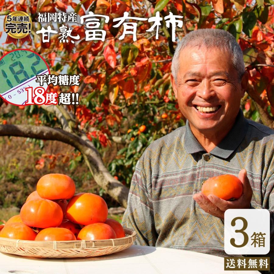送料無料】 福岡特産 甘熟 “名人” 富有柿 3箱約6kg21〜30玉 産直特価 富有柿 秀品 甘い 柿 かき 種あり まるかじり九州 :03011-4:まるかじり九州 - 通販 - Yahoo!ショッピング 送料無料】 福岡特産 甘熟 “名人” 富有柿 3箱約6kg21〜30玉 産直特価 富有柿 秀品 甘い 柿 かき 種あり まるかじり九州 :03011-4:まるかじり九州 - 通販 - Yahoo!ショッピング