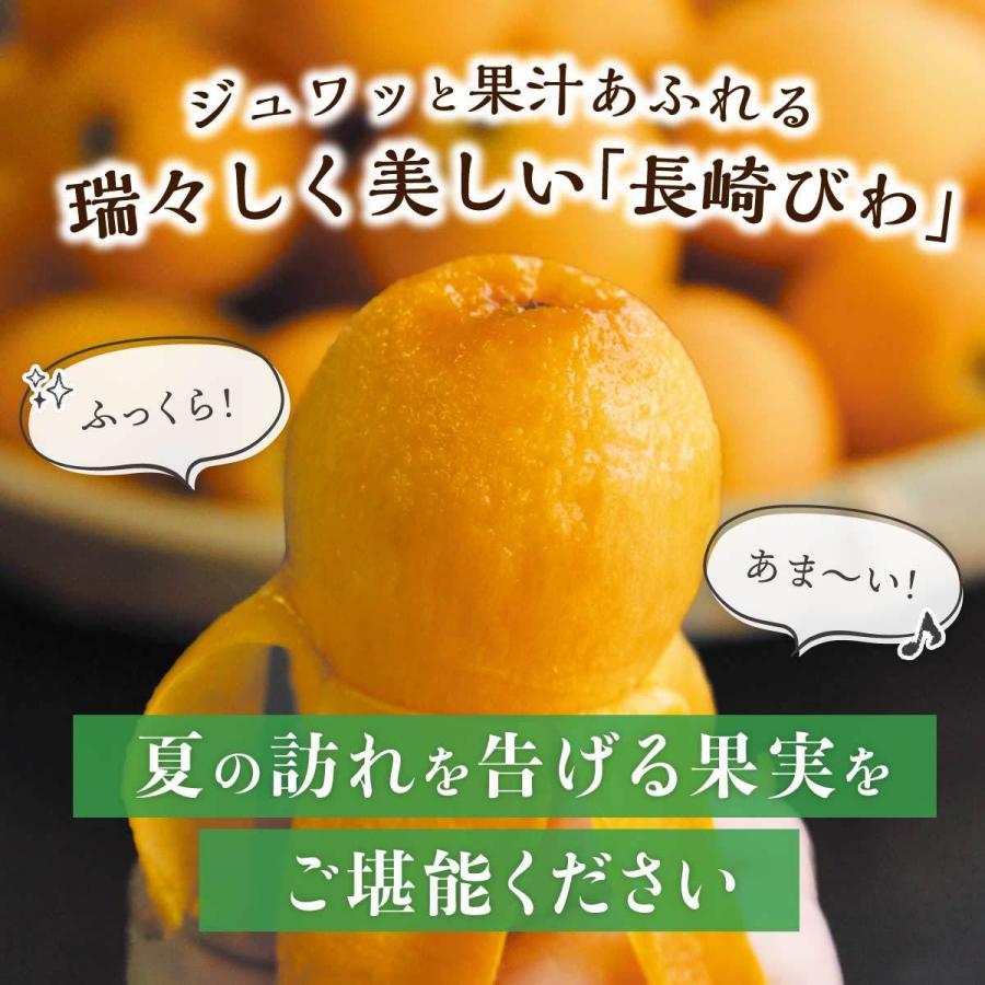 まるかじり九州 【まもなく完売】びわ 枇杷 長崎 茂木 3箱セット 1箱