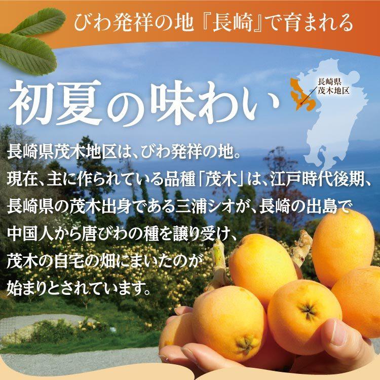 まるかじり九州 【まもなく完売】びわ 枇杷 長崎 茂木 4箱セット 1箱