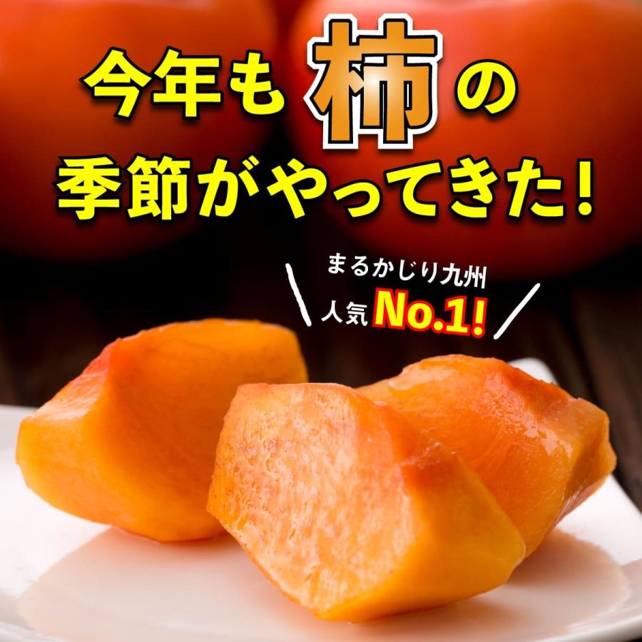 送料無料 富有柿 柿 福岡 農家 直送 5箱セット 約10kg 甘柿 甘熟 送料無料 富有柿 柿 福岡 農家 直送 5箱セット 約10kg 甘柿 甘熟