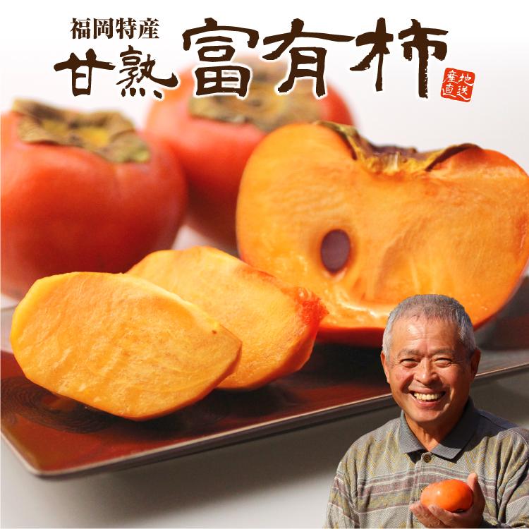 【高級大玉甘柿】福岡杷木ブランド富有柿4.5kg×2箱 柿 富有柿 甘柿 福岡 送料無料 5箱セット 1箱あたり約2kg(7〜10玉