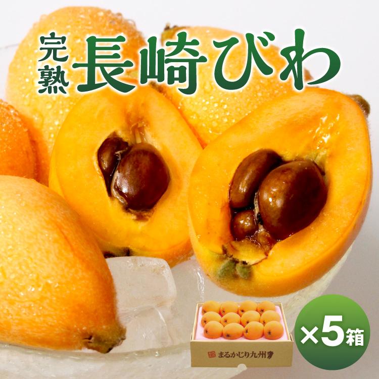 びわ 長崎びわ 5箱 500g Lサイズ12玉 5箱 5 好評 送料無料 茂木びわ ビワ 枇杷 人気 産地直送 採れたて完熟 まだ間に合う ギフト まるかじり九州 おすすめ