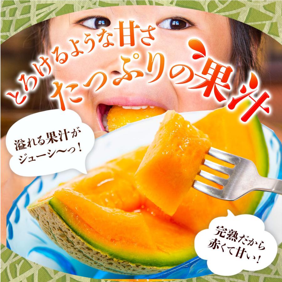 メロン 熊本 赤肉 1玉 約1.0〜1.2kg マリアージュ 国産 完熟 九州 産地