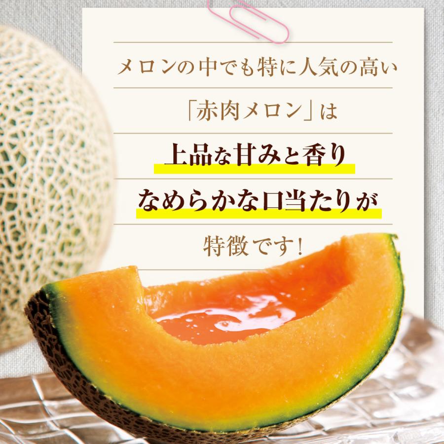 メロン 熊本 赤肉 1玉 約1.0〜1.2kg マリアージュ 国産 完熟 九州 産地