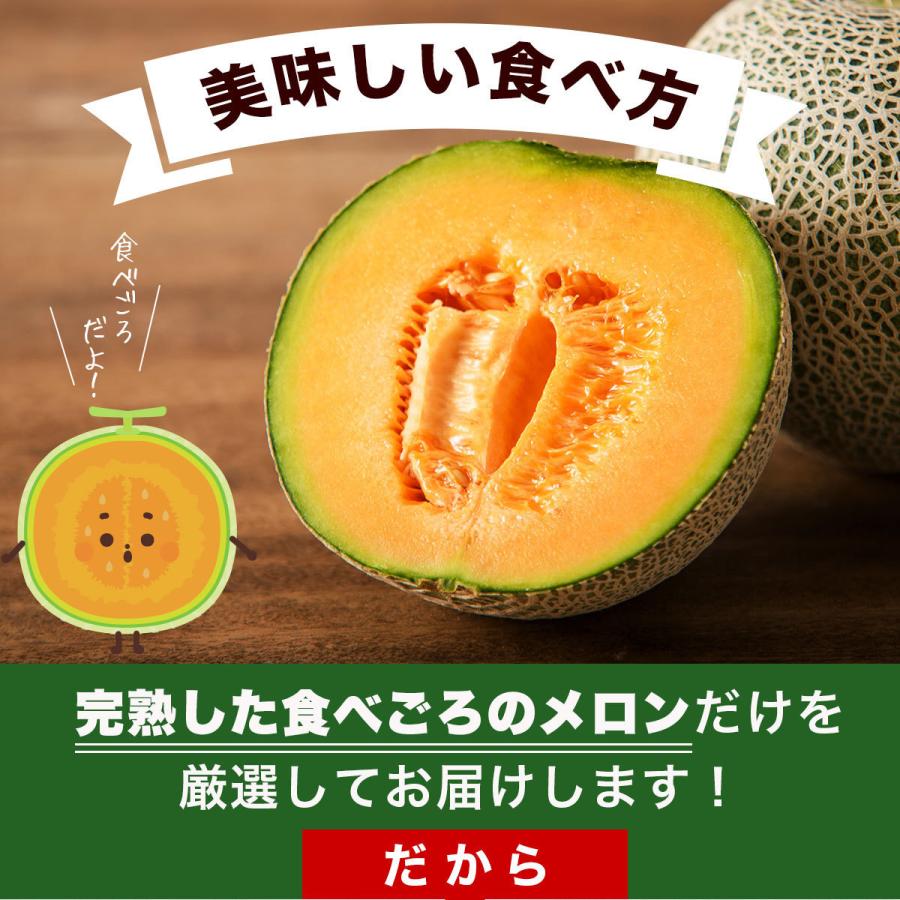 メロン 熊本 赤肉 1玉 約1.0〜1.2kg マリアージュ 国産 完熟 九州 産地
