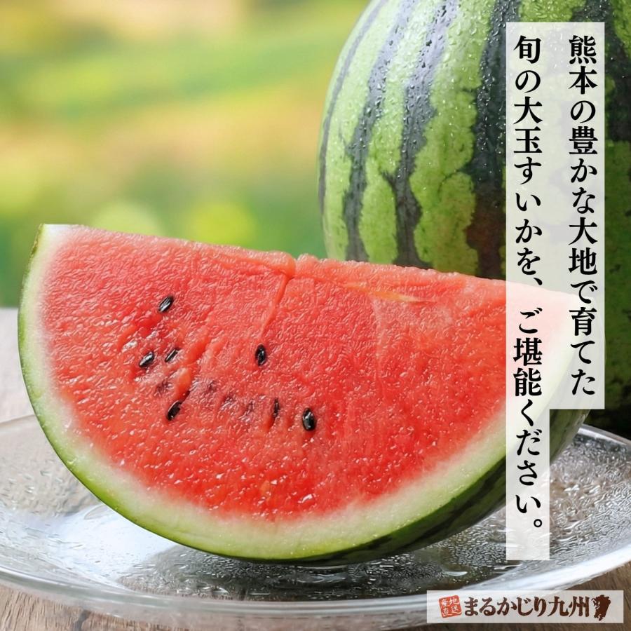 スイカ 大玉 熊本 送料無料 2玉セット 1玉あたり2L (約7〜8kg) 種あり