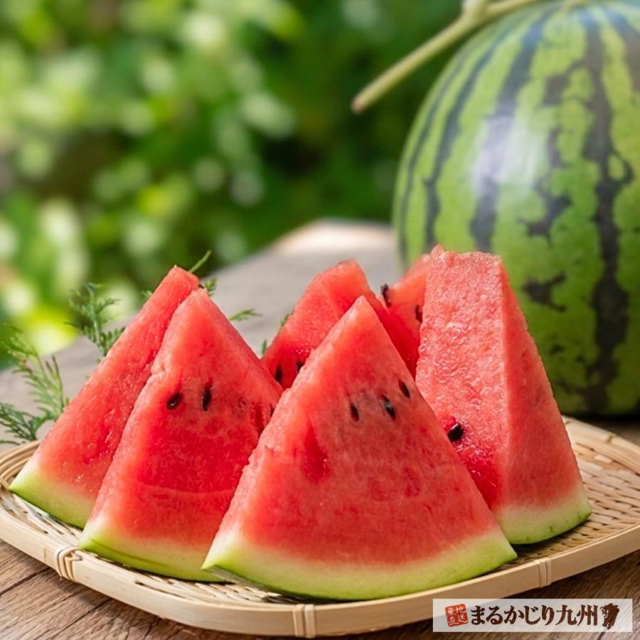 スイカ 大玉 熊本 送料無料 2玉セット 1玉あたり2L (約7〜8kg) 種あり