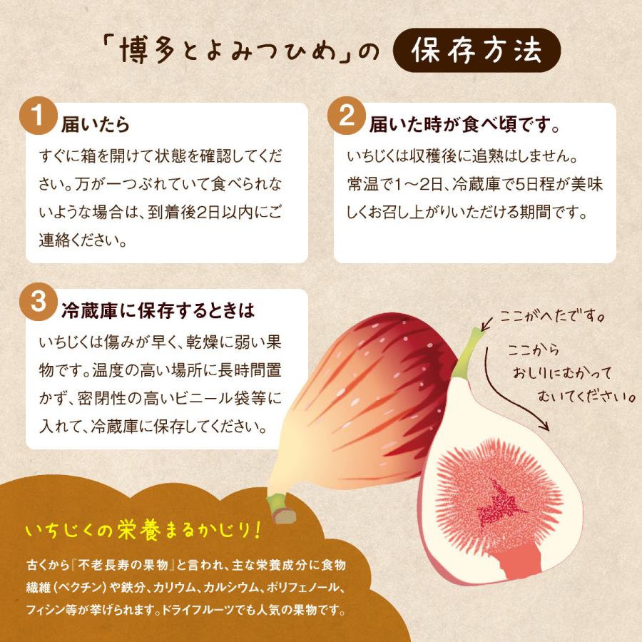 いちじく とよみつひめ 生 福岡 博多 送料無料 2箱セット 1箱あたり約