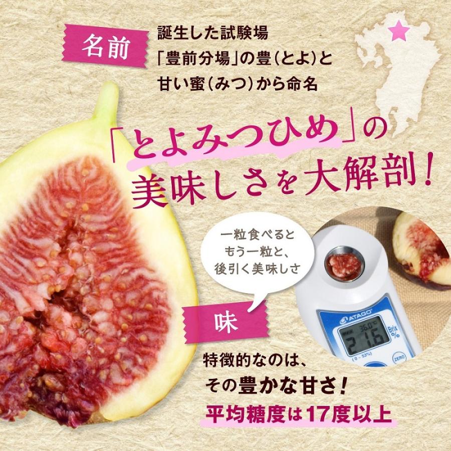 いちじく とよみつひめ 生 福岡 博多 2箱セット 1箱あたり約800〜900g