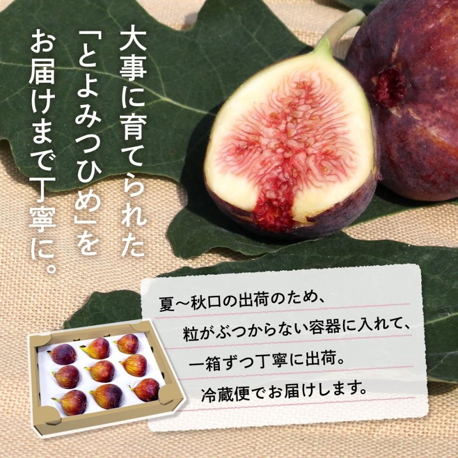 【予約用】クール便元払い　地域限定●福岡県産いちじく8品種セット（品種名なし） いちじく とよみつひめ 生 福岡 博多 2箱セット 1箱あたり約800〜900g