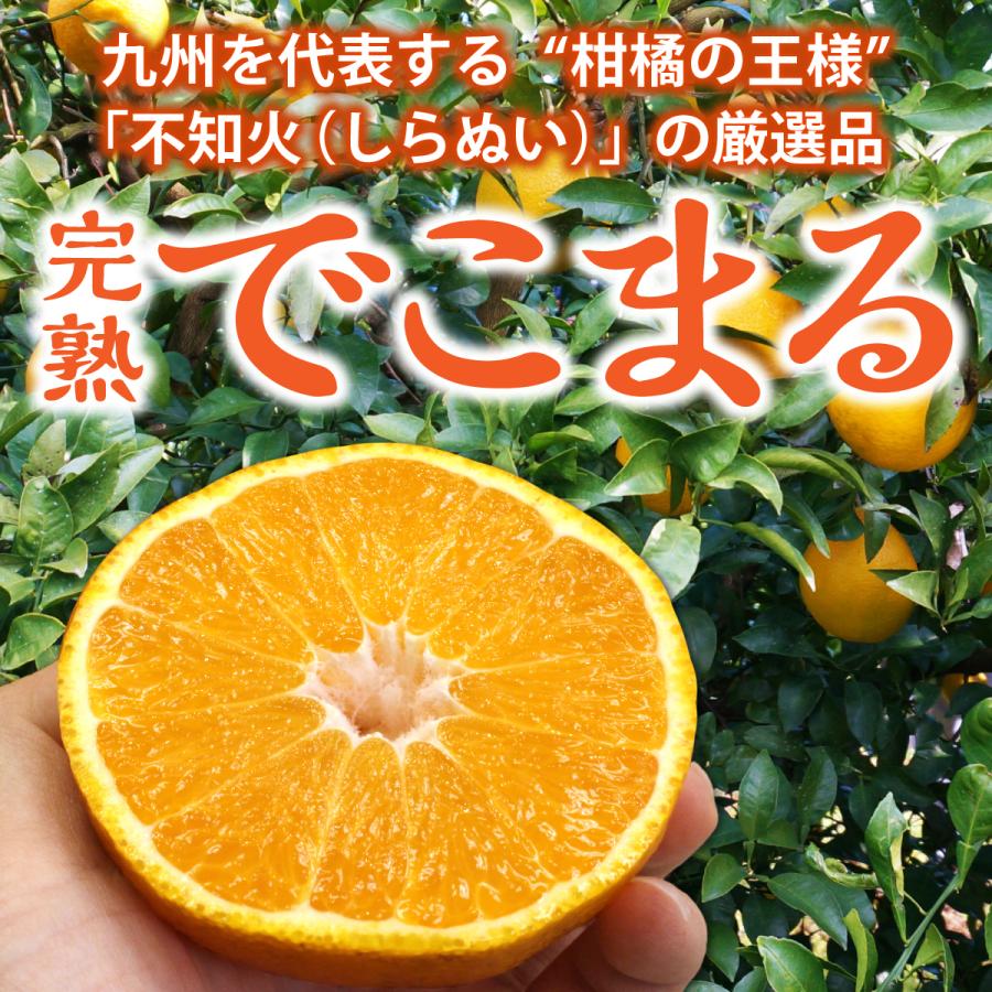まるかじり九州 不知火 熊本 佐賀 送料無料 完熟でこまる 2箱セット 1