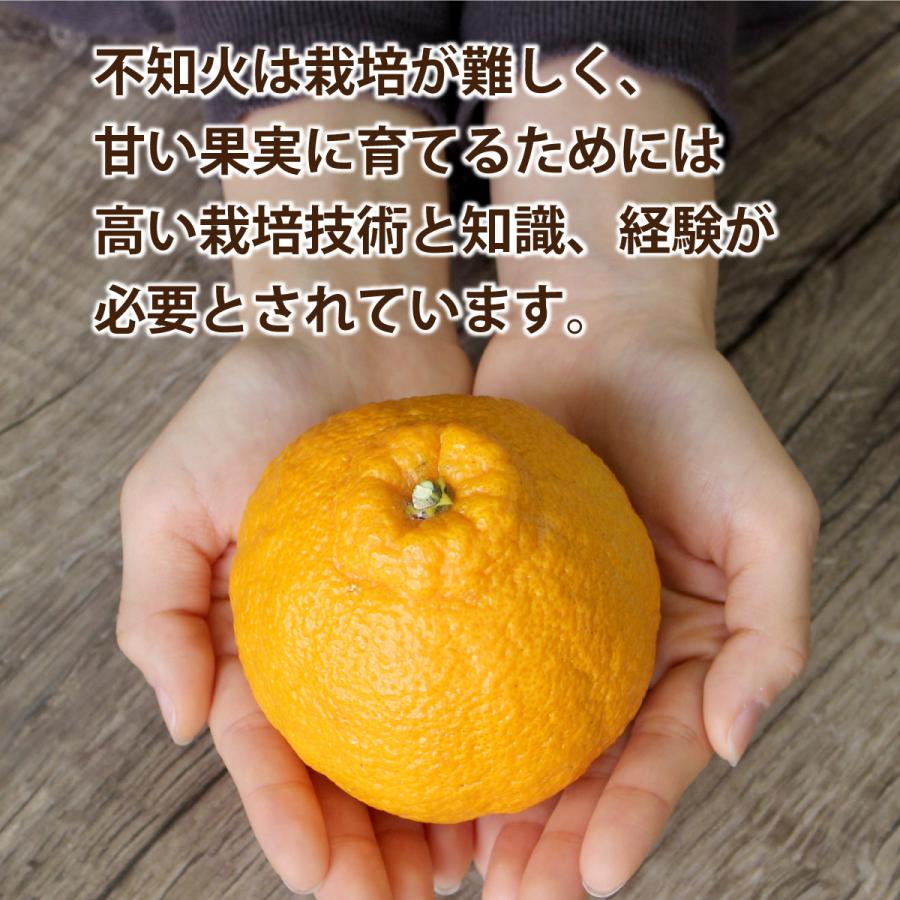 まるかじり九州 不知火 熊本 佐賀 送料無料 完熟でこまる 2箱セット 1