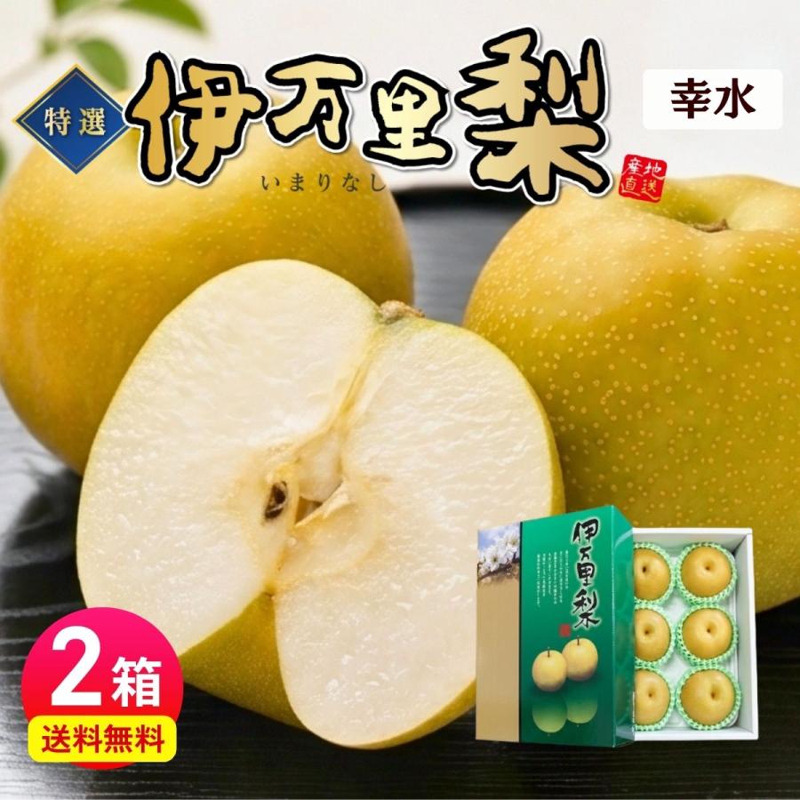 はる2箱　幸水梨 梨 幸水 佐賀 伊万里梨 2箱セット 1箱あたり約2.5kg(5~8玉) 産地直送