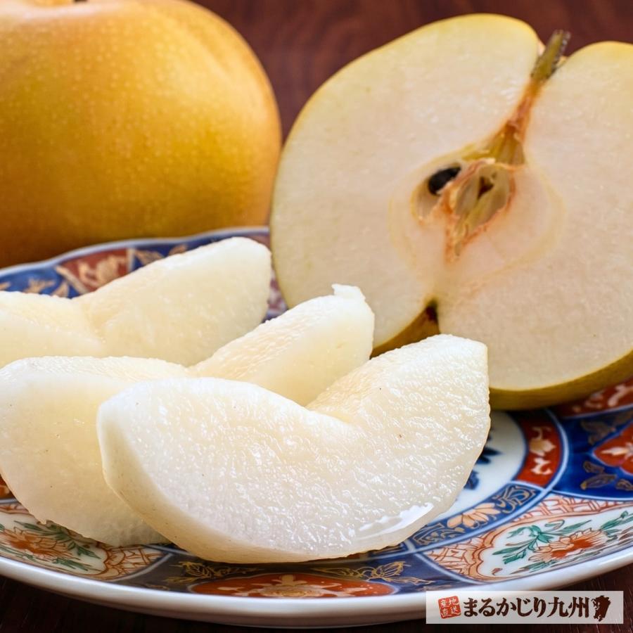 梨 豊水 佐賀 伊万里梨 2箱セット 1箱あたり約2.5kg(5~8玉) 産地直送