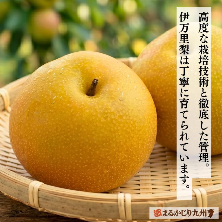 梨 豊水 佐賀 伊万里梨 2箱セット 1箱あたり約2.5kg(5~8玉) 産地直送