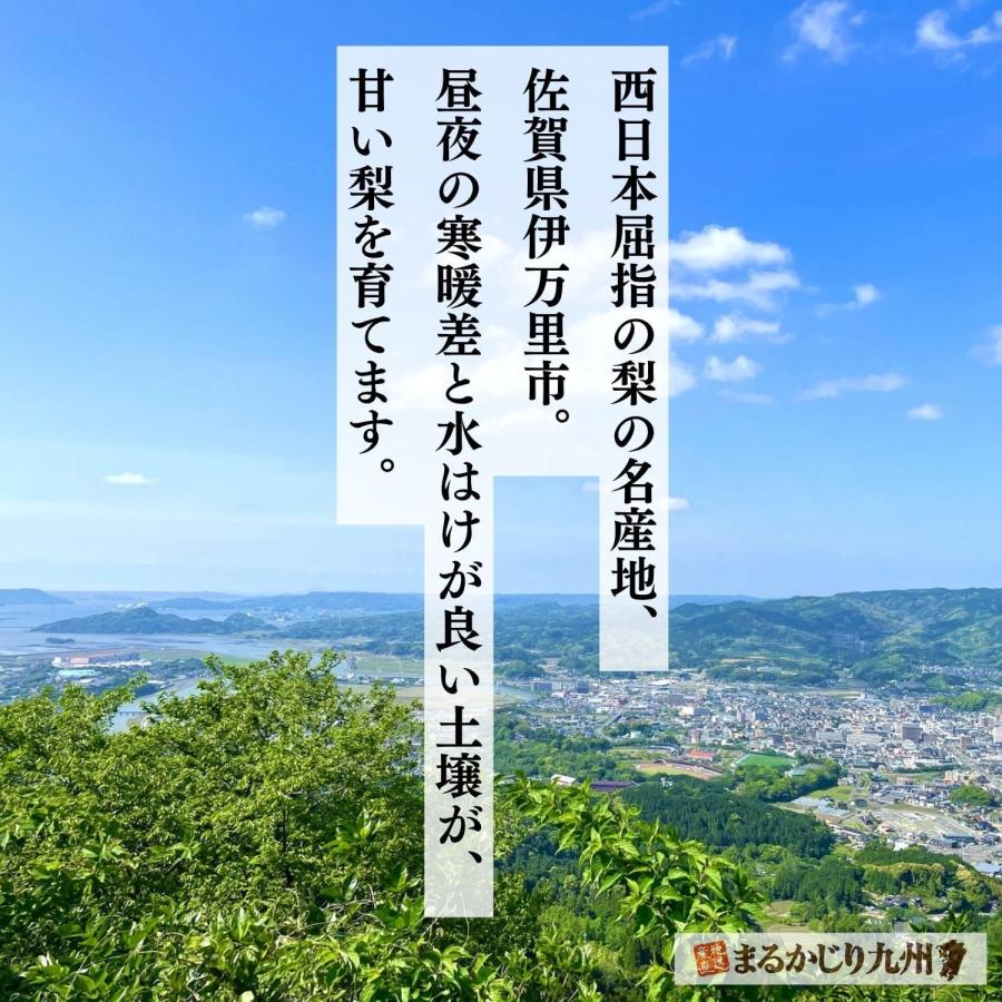 梨 あきづき 佐賀 伊万里梨 2箱仕かける 1箱あたり近所約2.5kg(5~8玉) 出どころ直送 赤梨 有りの実 甘梨 和梨 フルーツ 果物 差し上げる まるかじり九州