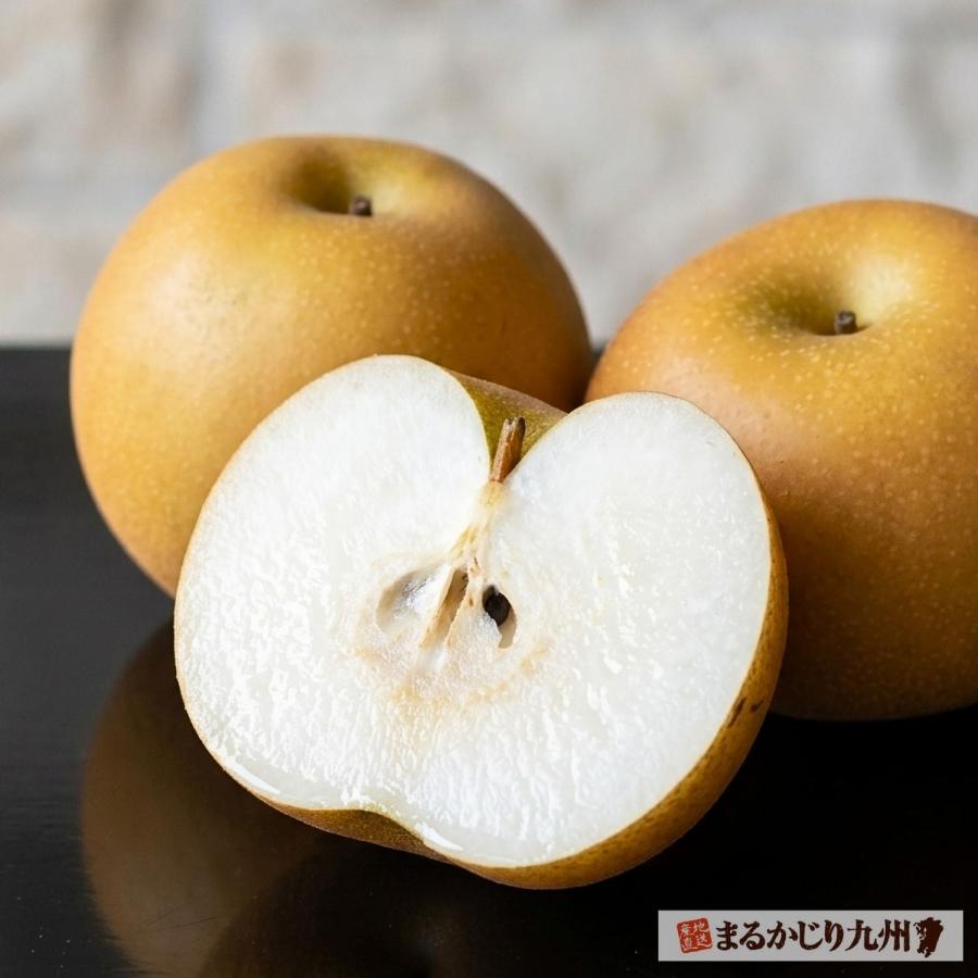 梨 あきづき 佐賀 伊万里梨 2箱仕かける 1箱あたり近所約2.5kg(5~8玉) 出どころ直送 赤梨 有りの実 甘梨 和梨 フルーツ 果物 差し上げる まるかじり九州