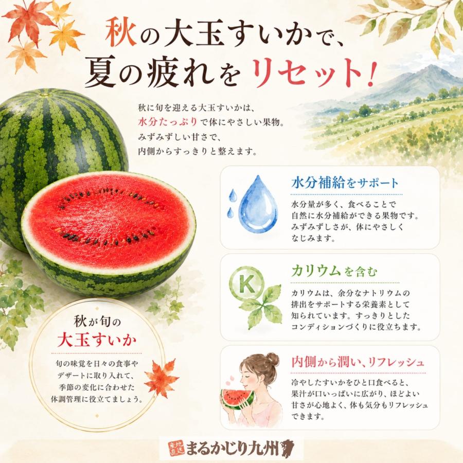 秋スイカ 羅皇 熊本 大玉 2玉セット 1玉あたり7〜8kg 2Lサイズ スイカ