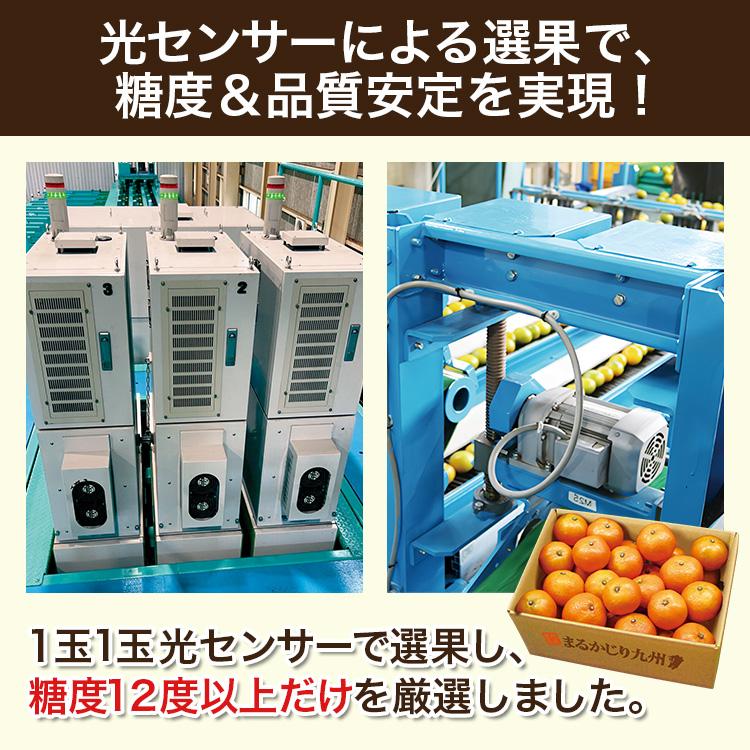 みかん 熊本 福岡 送料無料 甘熟贅沢みかん 2箱セット 1箱あたり約2kg