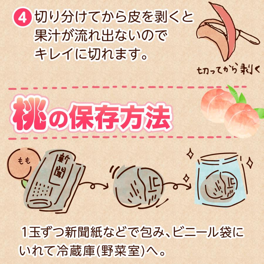 桃 福岡 白桃 送料無料 あさくらの桃 3箱 1箱あたり約1.5kg(5〜7玉) あかつき なつおとめ 九州 お取り寄せ 産地直送 果物 ご自宅用 まるかじり九州の画像