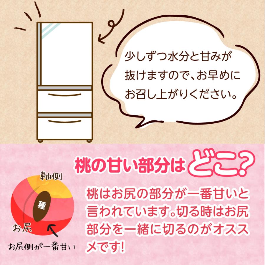桃 福岡 白桃 送料無料 あさくらの桃 3箱 1箱あたり約1.5kg(5〜7玉) あかつき なつおとめ 九州 お取り寄せ 産地直送 果物 ご自宅用 まるかじり九州の画像