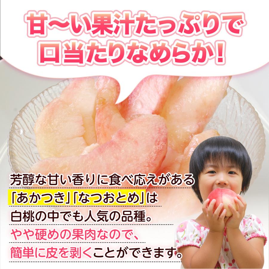 桃 福岡 白桃 送料無料 あさくらの桃 3箱 1箱あたり約1.5kg(5〜7玉) あかつき なつおとめ 九州 お取り寄せ 産地直送 果物 ご自宅用 まるかじり九州の画像