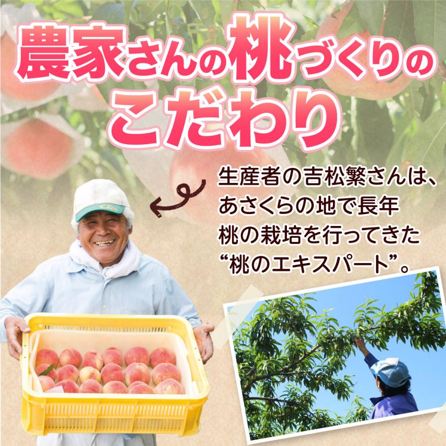 桃 福岡 白桃 送料無料 あさくらの桃 3箱 1箱あたり約1.5kg(5〜7玉) あかつき なつおとめ 九州 お取り寄せ 産地直送 果物 ご自宅用 まるかじり九州の画像